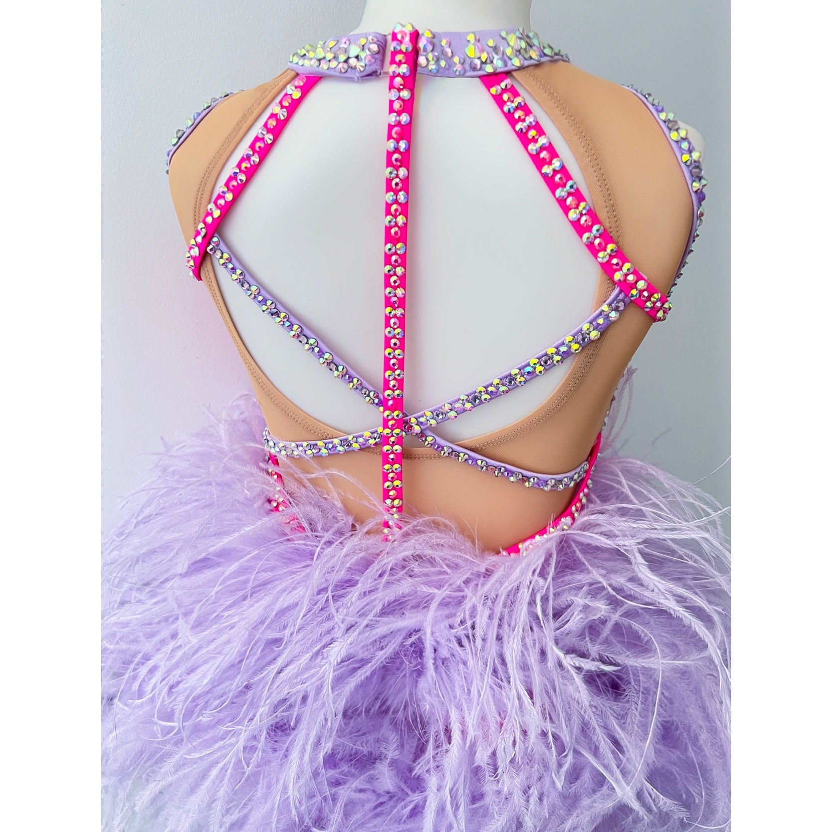 Amber's Costume | Pink & Lavender - Sparkle Worldwide
